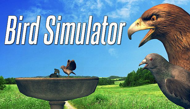 Buy Bird Simulator