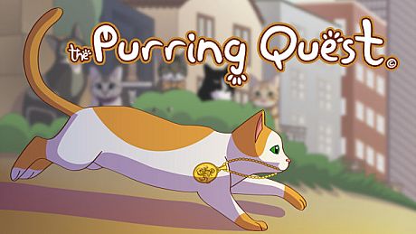The Purring Quest