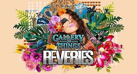 Gallery of Things: Reveries Game