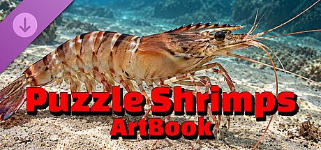 Puzzle Shrimps Artbook