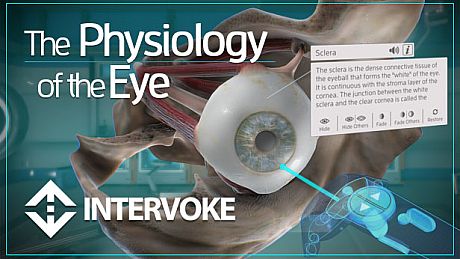 The Physiology of the Eye Game