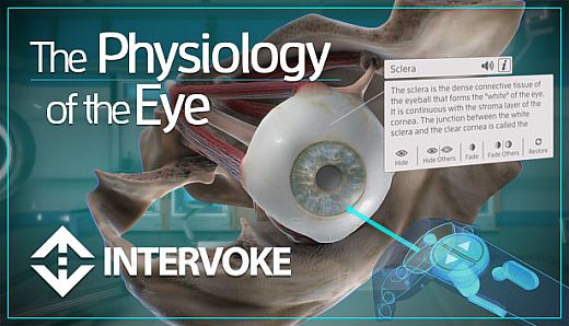 The Physiology of the Eye