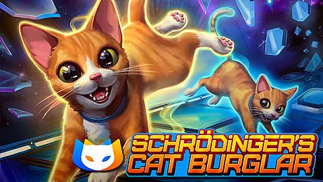 Schrodinger's Cat Burglar Game