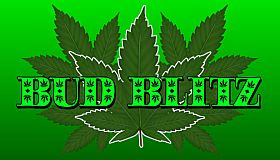 Bud Blitz