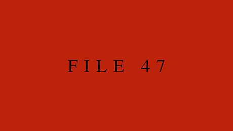 File 47 Game