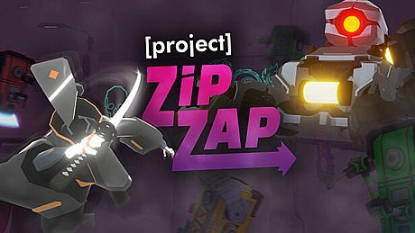Project ZipZap Game