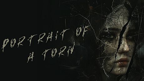 Portrait of a Torn Game