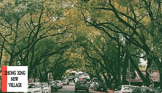 ZHONG XING NEW VILLAGE