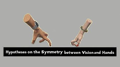 Hypotheses on the Symmetry between Vision and Hands Game