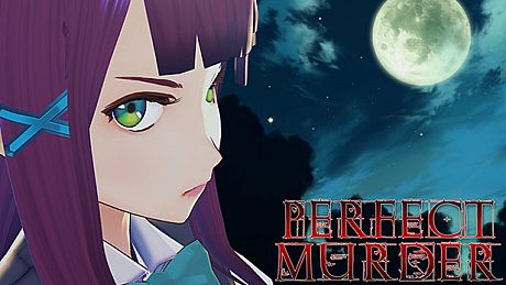 Perfect Murder Game
