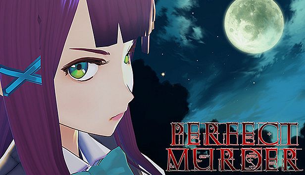 Perfect Murder kaufen