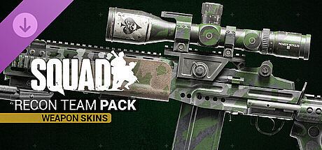 Squad Weapon Skins - Recon Team Pack DLC