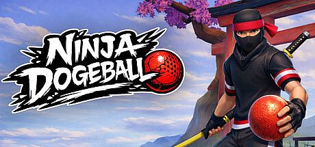 Ninja Dodgeball Game