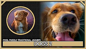Pixel Puzzles Traditional Jigsaws Pack: Dogs