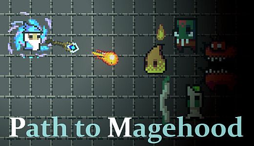 Path to Magehood