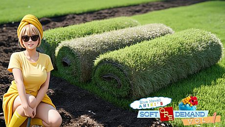 Blue Hawaii Aniki's Soft Ore Demand vol.1 Game