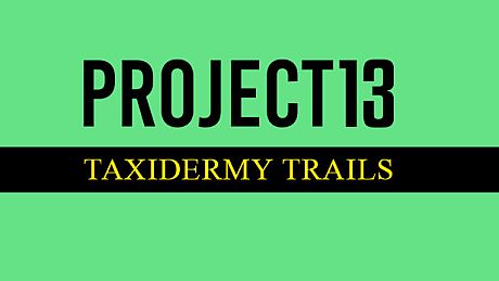 Project 13: Taxidermy Trails Game