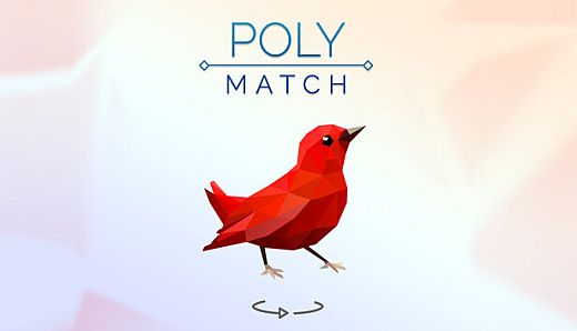 Poly Match