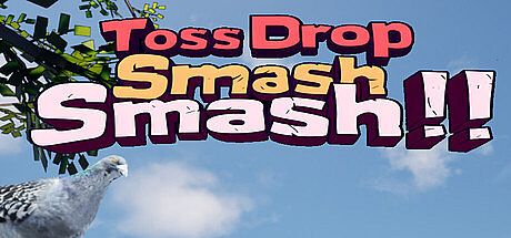 Toss Drop Smash Smash Game