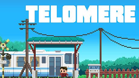 Telomere Game