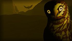 Birds Watching