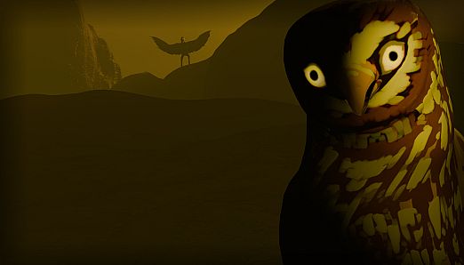 Birds Watching