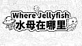 Where Jellyfish 水母在哪里 +450