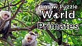 Jigsaw Puzzle World - Primates