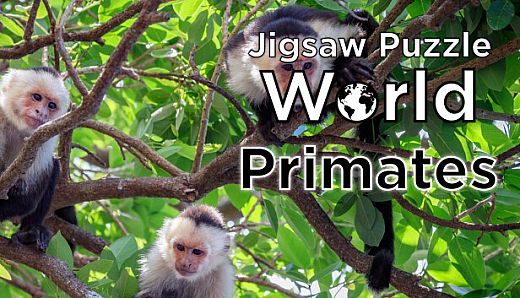 Jigsaw Puzzle World - Primates