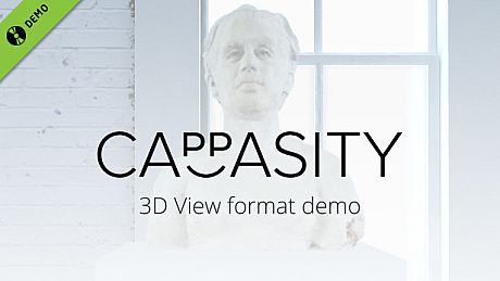 Cappasity Demo Game