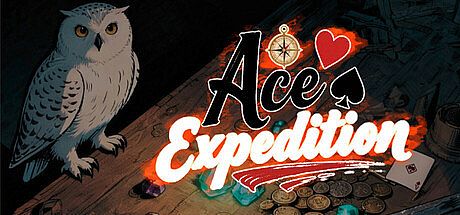 Ace Expedition 王牌远征 Game