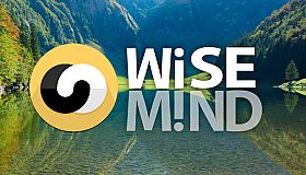 WiseMind