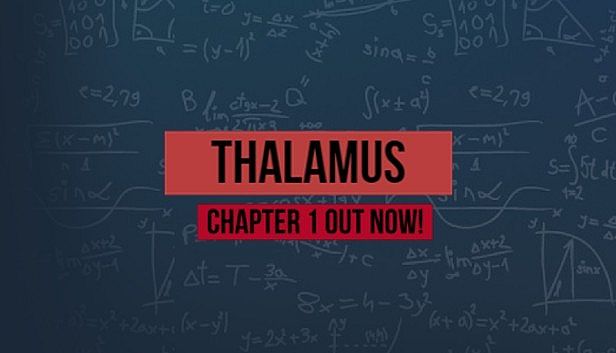 Buy Thalamus