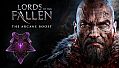 Lords of the Fallen - The Arcane Boost