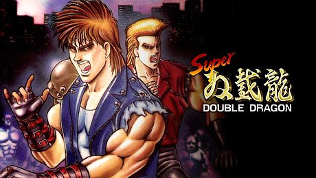 Super Double Dragon Game