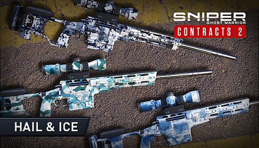 Sniper Ghost Warrior Contracts 2 - Hail & Ice Skin Pack