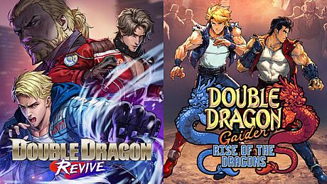 Double Dragon Gaiden & Double Dragon Revive Bundle