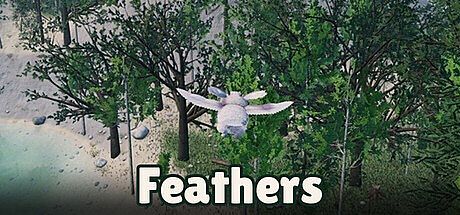 Feathers Game