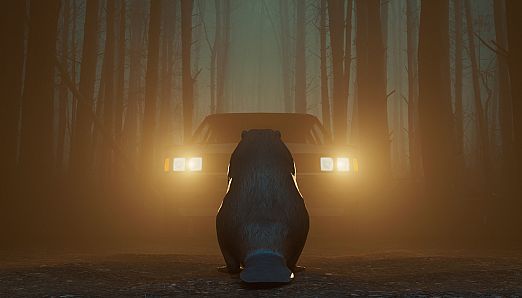 Don't Mess With Bober