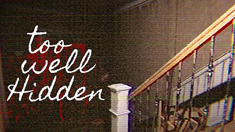 Too Well Hidden Game