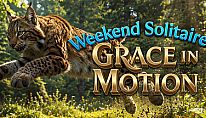 Kup Weekend Solitaire 7 Grace In Motion na PC