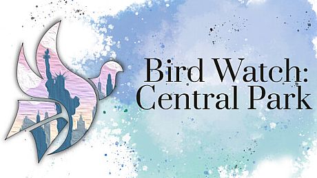 Bird Watch: Central Park Game