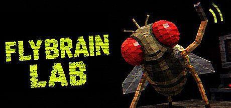 FLYBRAIN LAB Game
