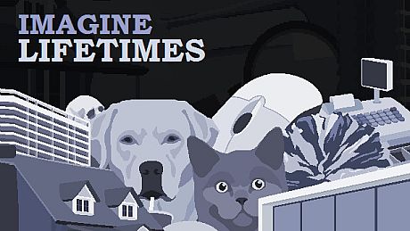 Imagine Lifetimes Game
