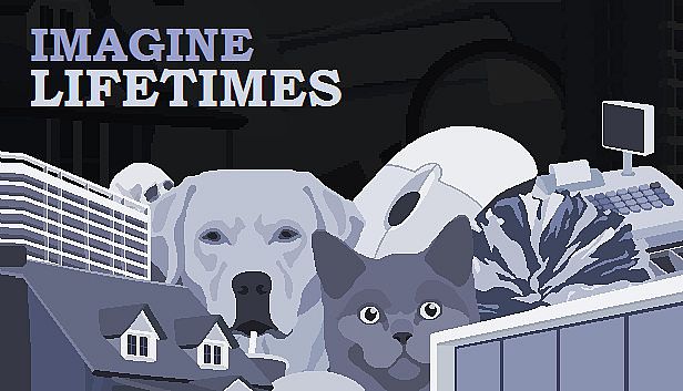 Buy Imagine Lifetimes