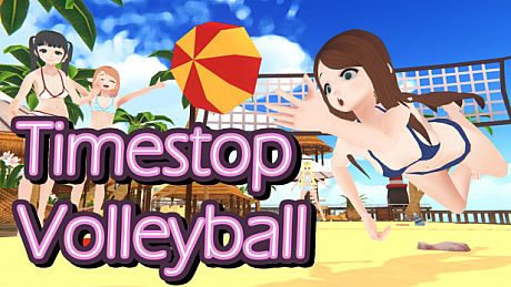 Timestop Volleyball Game