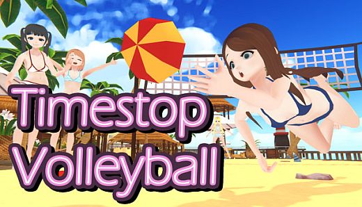 Timestop Volleyball