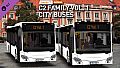 OMSI 2 Add-on C2 Family Vol. 1 City Buses