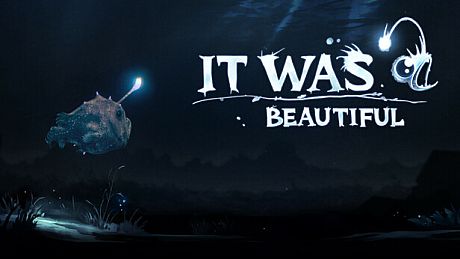 It was beautiful Game