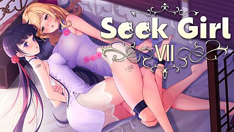 Seek Girl Ⅶ Game